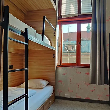 Viki Kazimierz Krakau