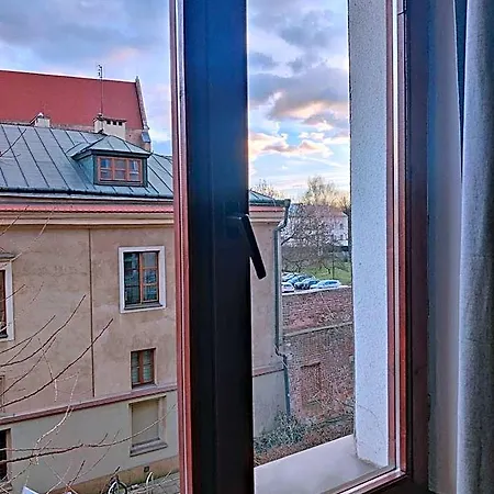 Viki Kazimierz