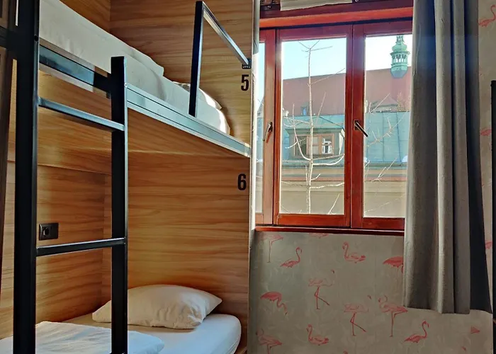 Viki Kazimierz 克拉科夫