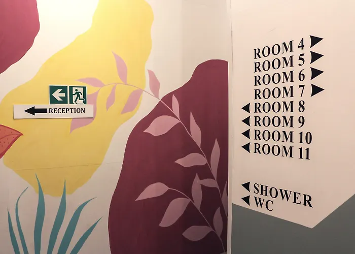 Viki Kazimierz 克拉科夫