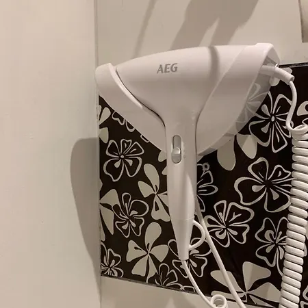 بيت شباب Viki Kazimierz