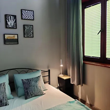 Viki Kazimierz كراكوفيا