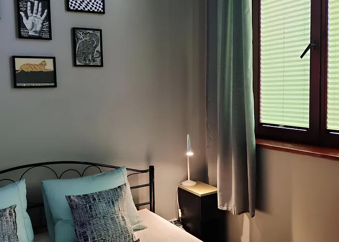 Viki Kazimierz 克拉科夫